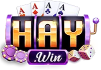 haywin.jpn.com